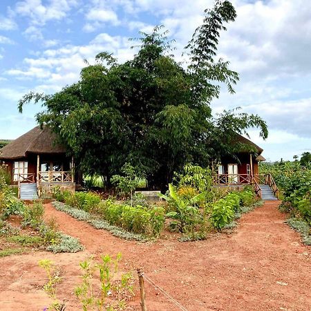Rutete Eco Lodge Rwinkwavu Eksteriør billede
