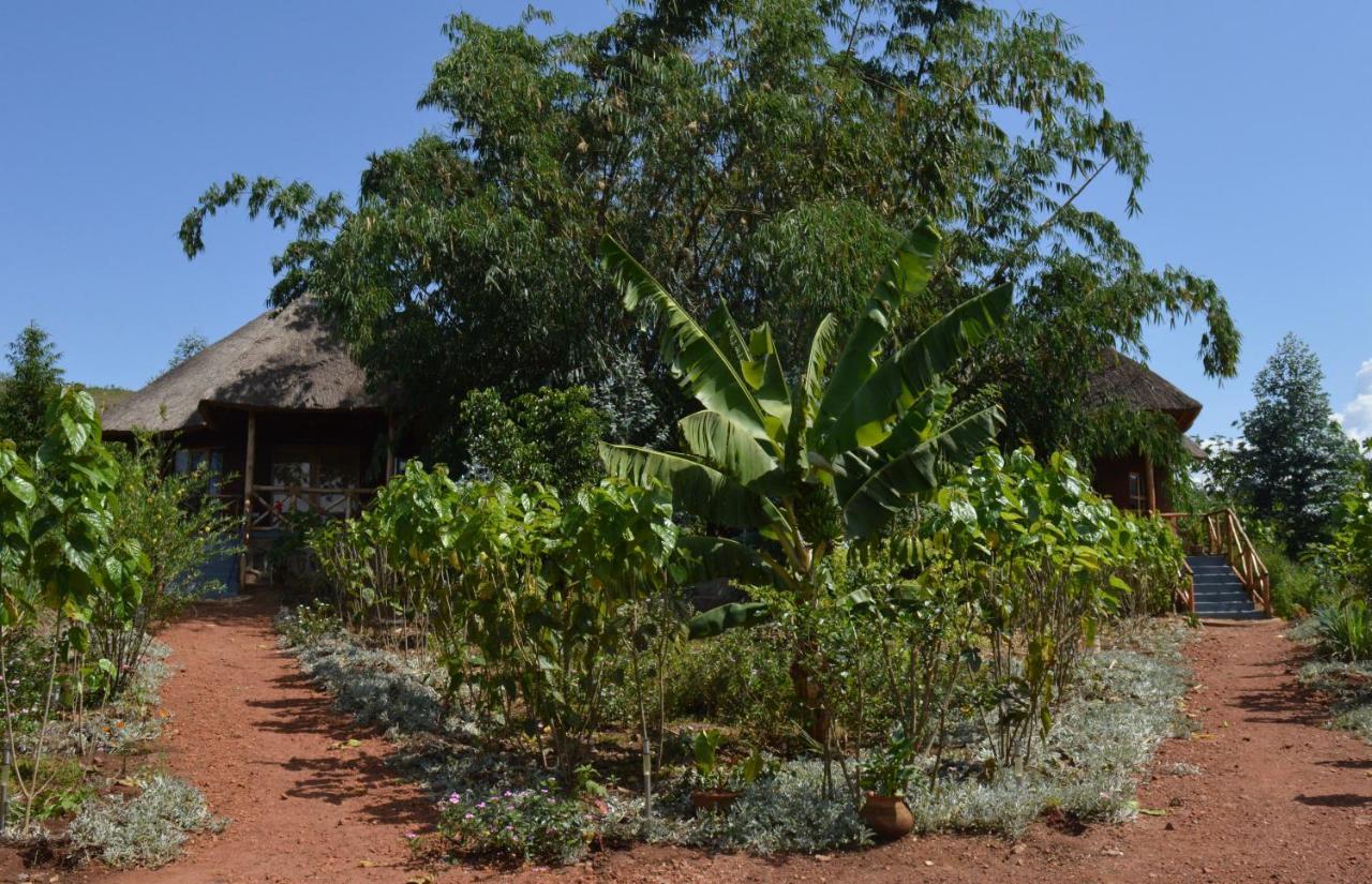 Rutete Eco Lodge Rwinkwavu Eksteriør billede