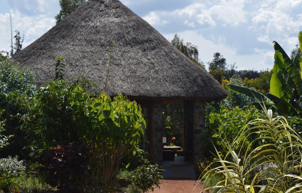 Rutete Eco Lodge Rwinkwavu Eksteriør billede
