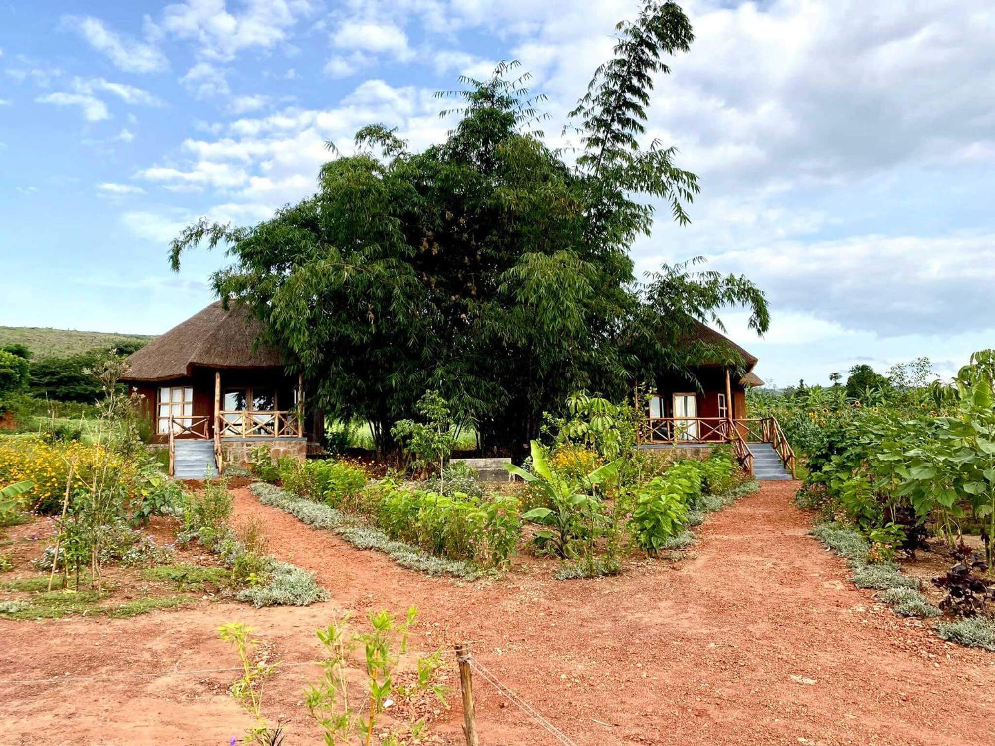 Rutete Eco Lodge Rwinkwavu Eksteriør billede